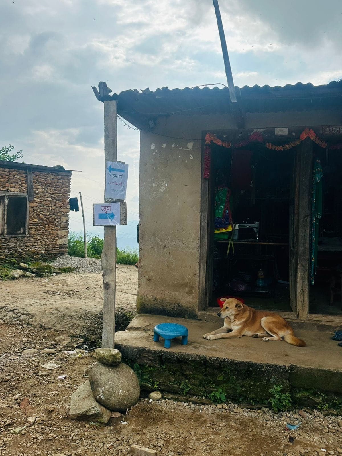 A village junction with two hand-lettered signs on a post, one pointing towards Kathmandu and one towards Rasuwa, a shop doorway behind and a dog lying on the step.